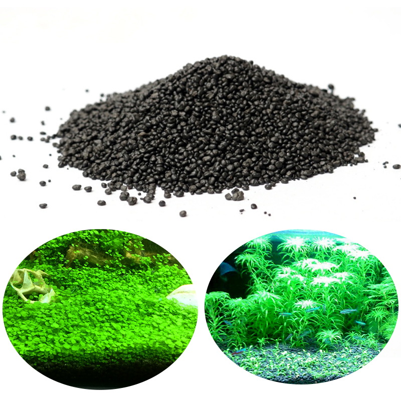 Aquarium Planted Seeds - Akuarium Air Rumput Lumpur Bibit Tanaman