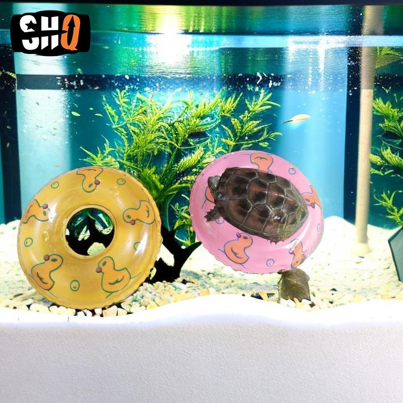 Aquarium Planted Seeds - Musim panas kura-kura bermain air Kayak