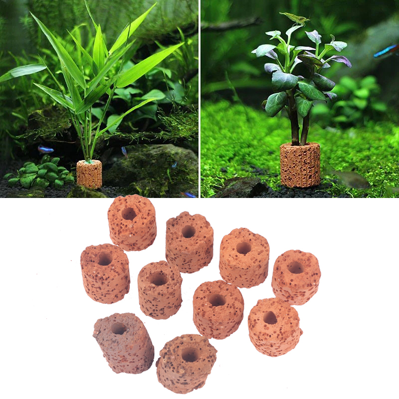 Aquarium Planted Seeds - 10 buah cincin tanaman akuarium tangki