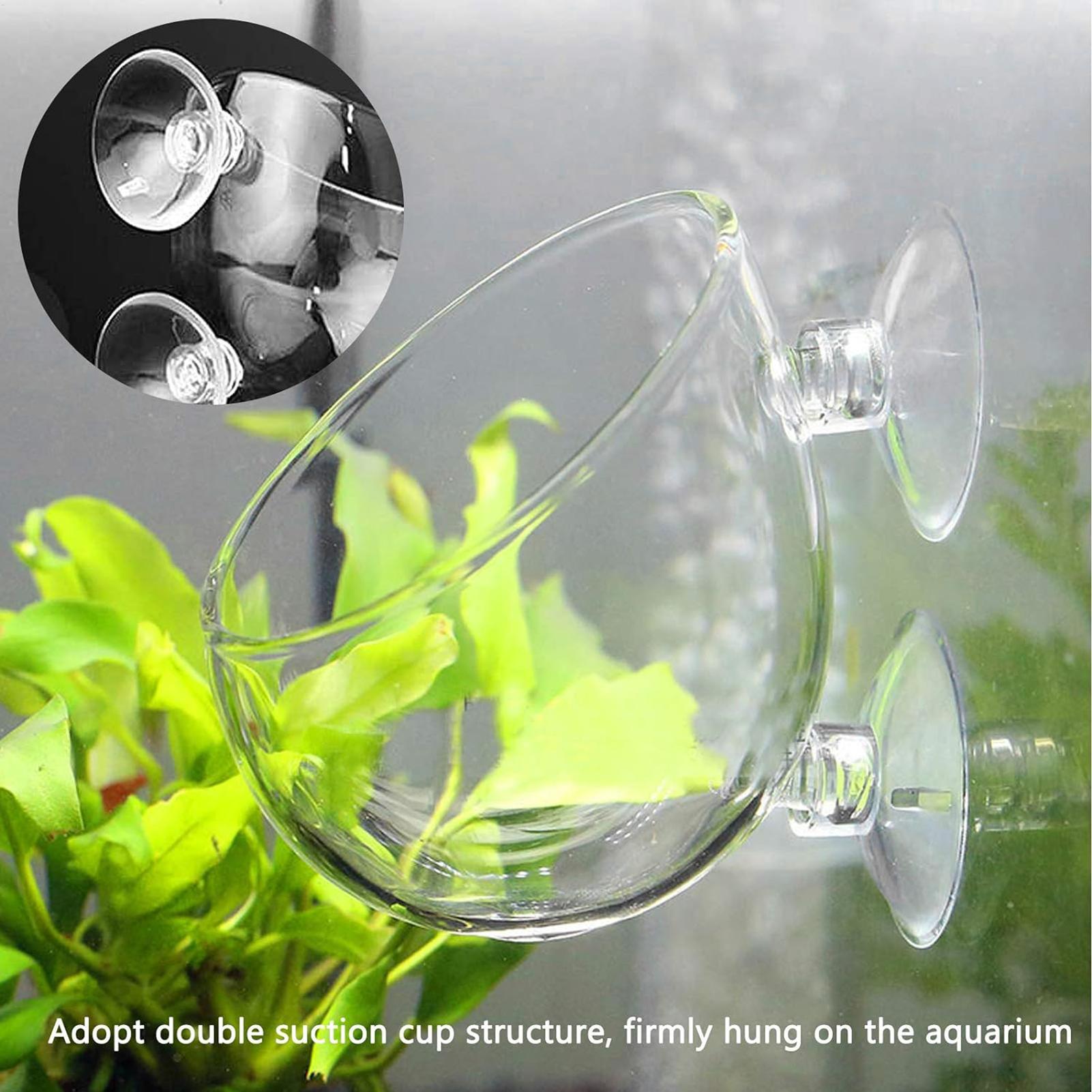 Planted Aquarium Maintenance - Pot Tanaman Kaca Akuarium dengan Suction
