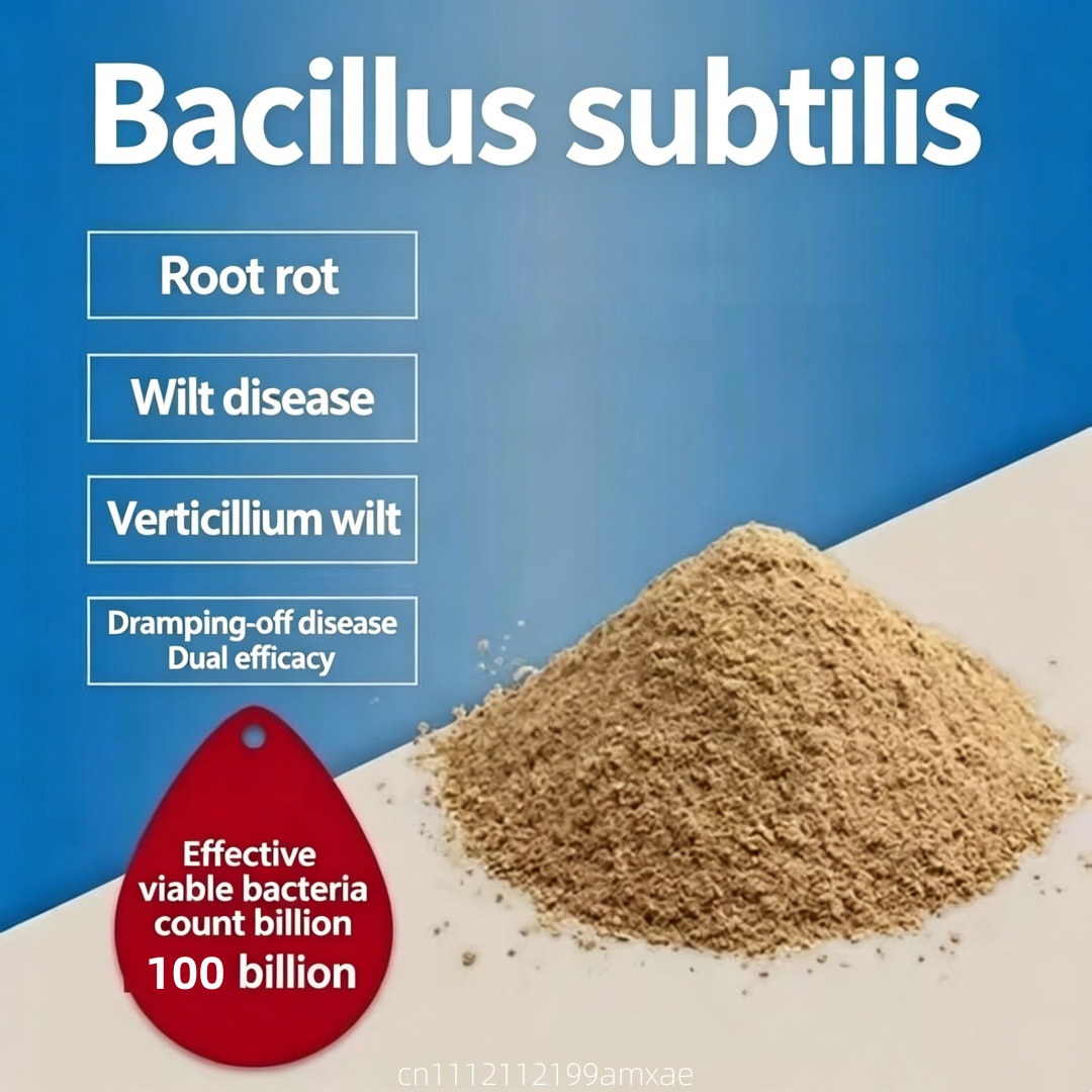 Aquarium Plant Fertilizer - Bubuk Bacillus Subtilis Aktivitas Tinggi Pupuk