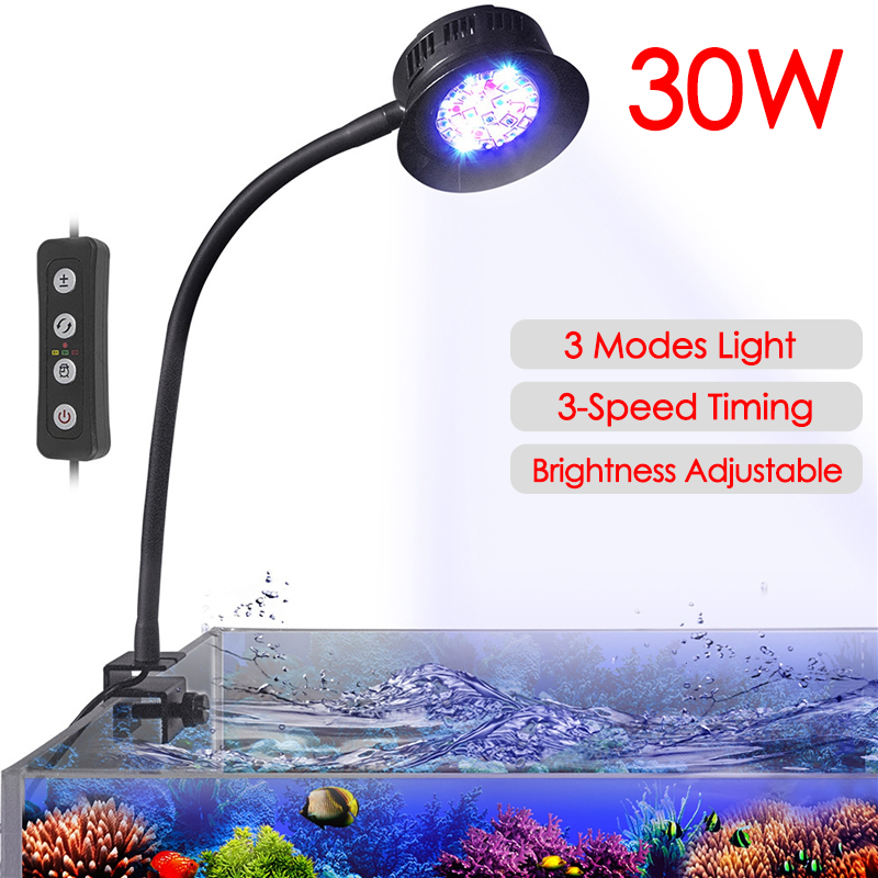 Aquarium Plant Delivery - 30W Tangki Ikan Akuarium Air Laut