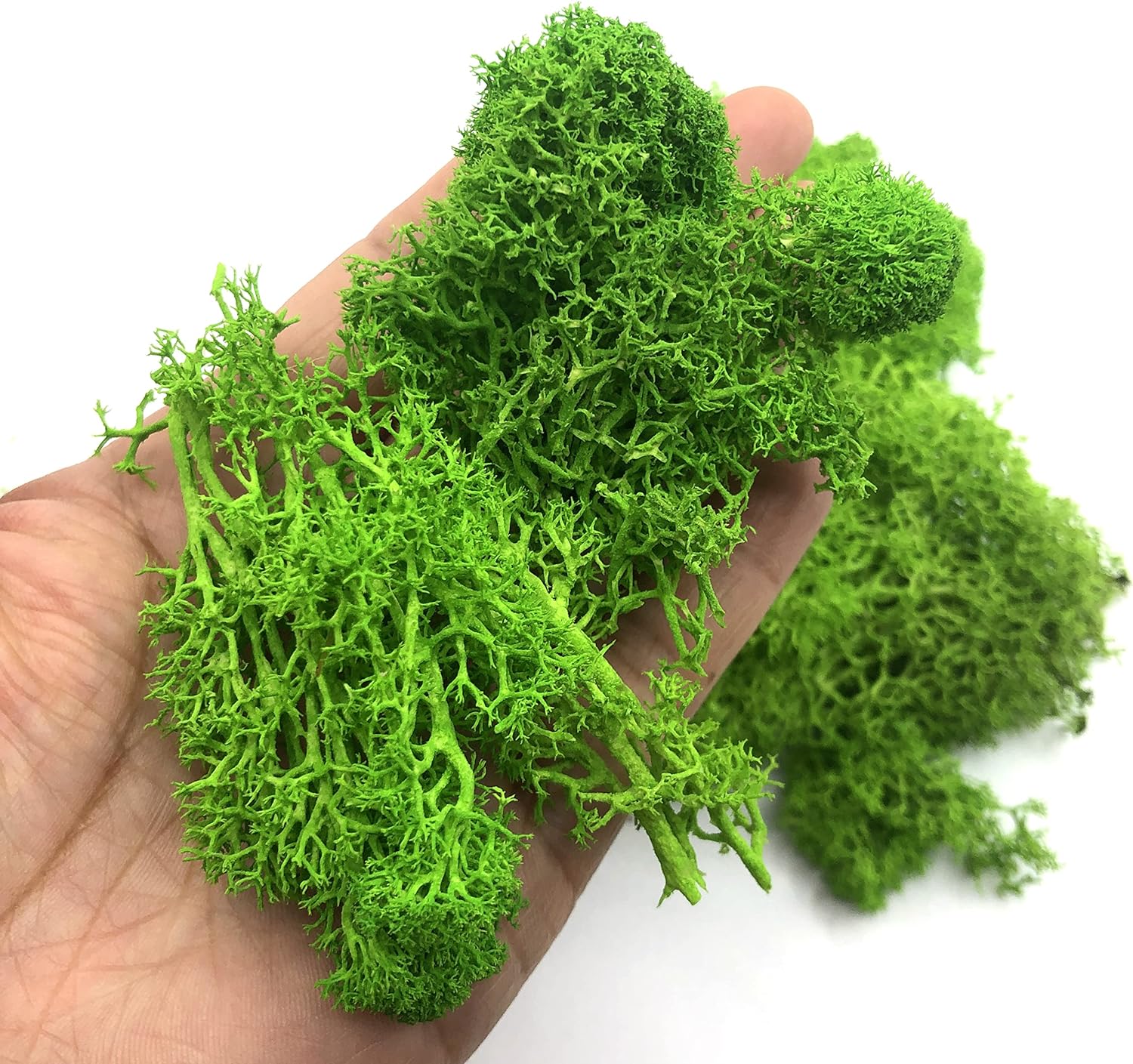 Aquarium Plant Seeds - Tanaman hijau buatan 200g, kerajinan tangan