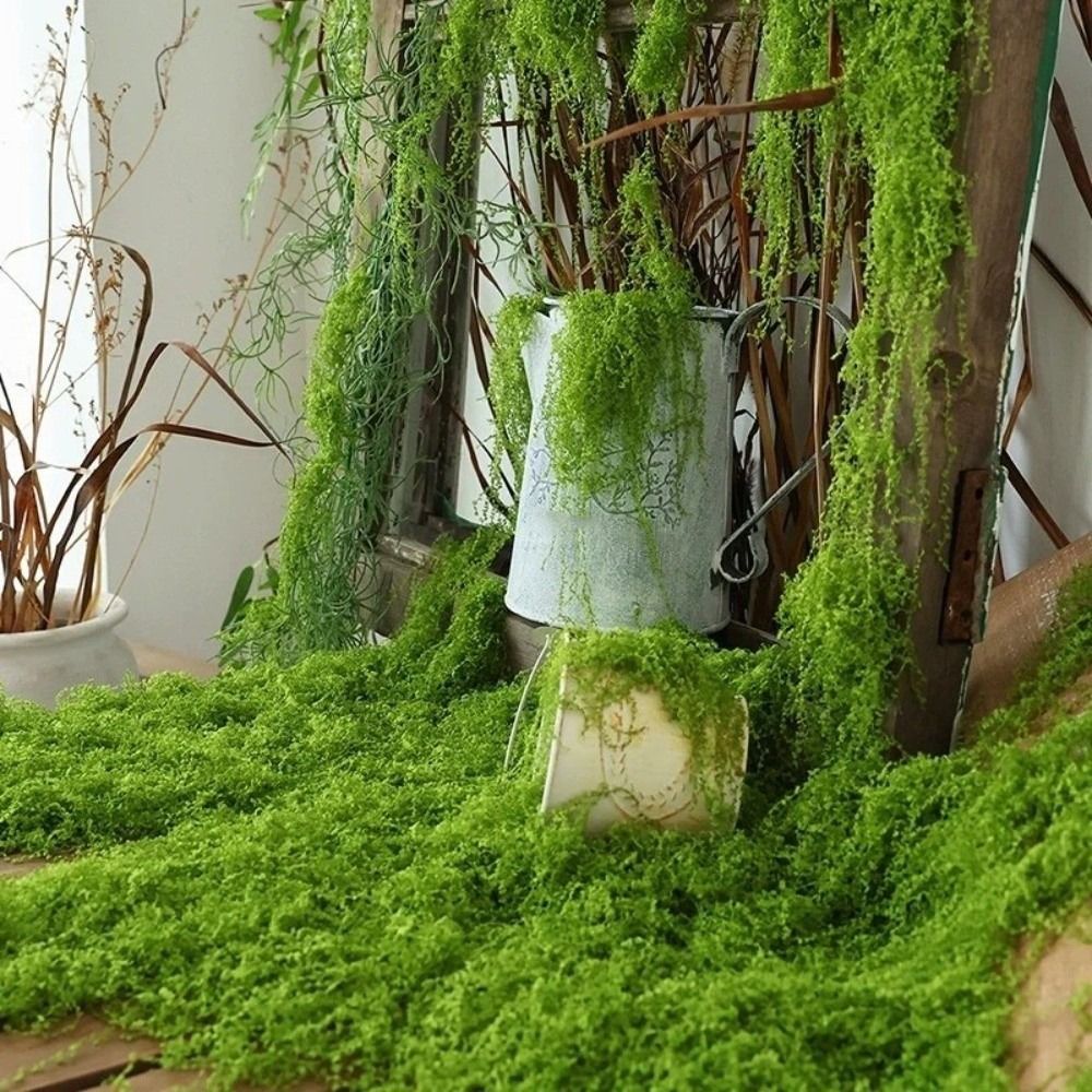 Aquarium Plant Seeds - Karpet Rumput Buatan DIY Tahan Lama