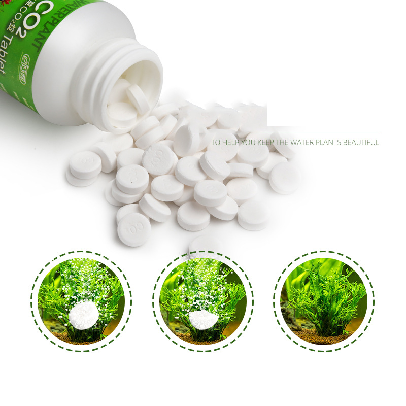 ISTA Tangki Ikan Akuarium CO2  - Aquarium Plant Fertilizer ulasan dan harga