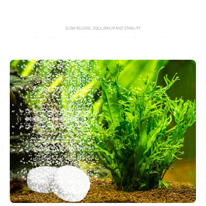 ISTA Tangki Ikan Akuarium CO2  - Aquarium Plant Fertilizer ulasan dan harga