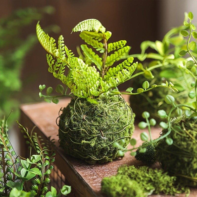 Pot Tanaman Lumut Buatan, Wada - Aquarium Plant Seeds ulasan dan harga