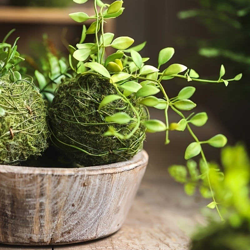 Pot Tanaman Lumut Buatan, Wada - Aquarium Plant Seeds ulasan dan harga