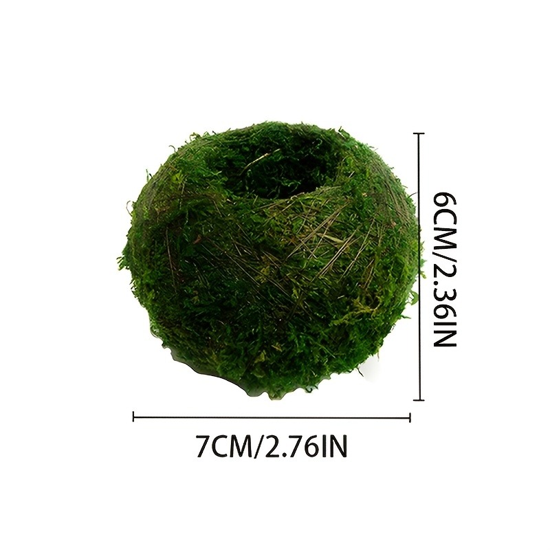 Pot Tanaman Lumut Buatan, Wada - Aquarium Plant Seeds ulasan dan harga