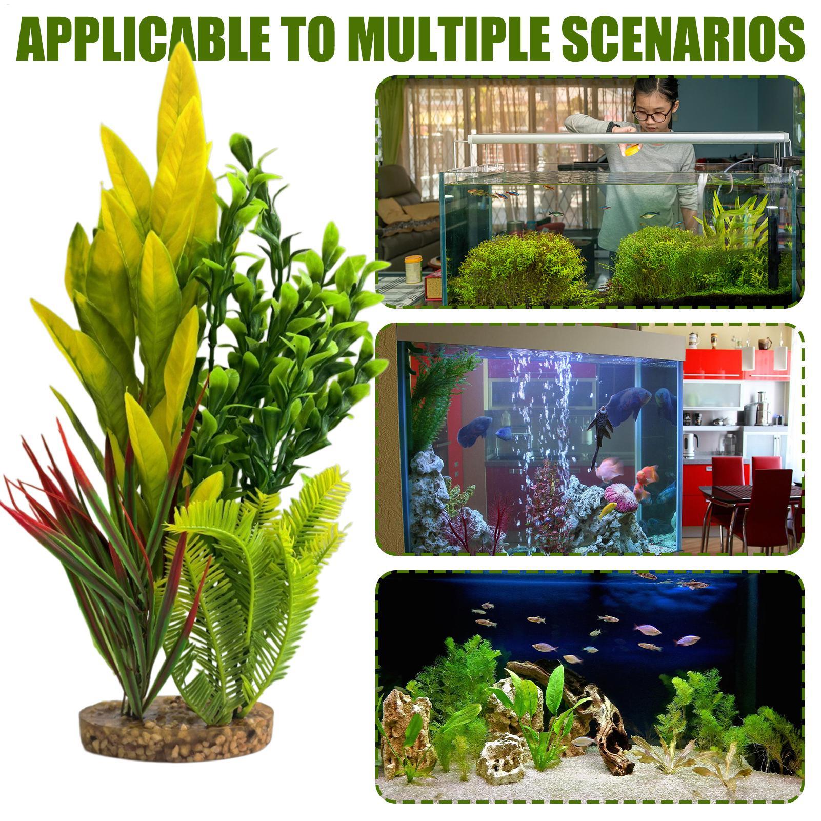 Tanaman Akuarium Buatan Dekora - Planted Aquarium For Beginners ulasan dan harga