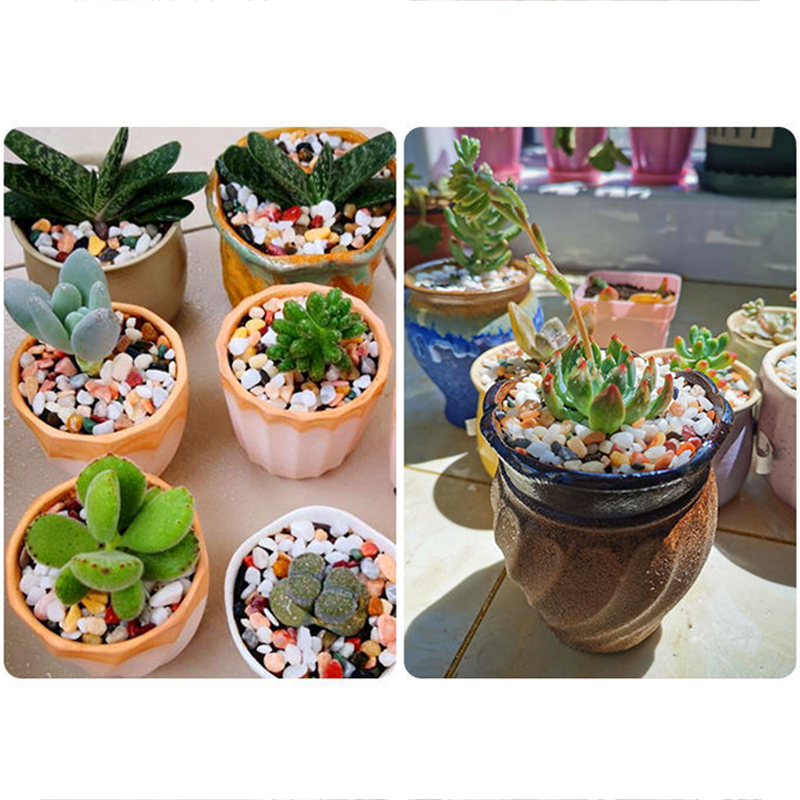 Pasir Akuarium Alami 5Mm 200G- - Aquarium Planted Tank Substrate ulasan dan harga