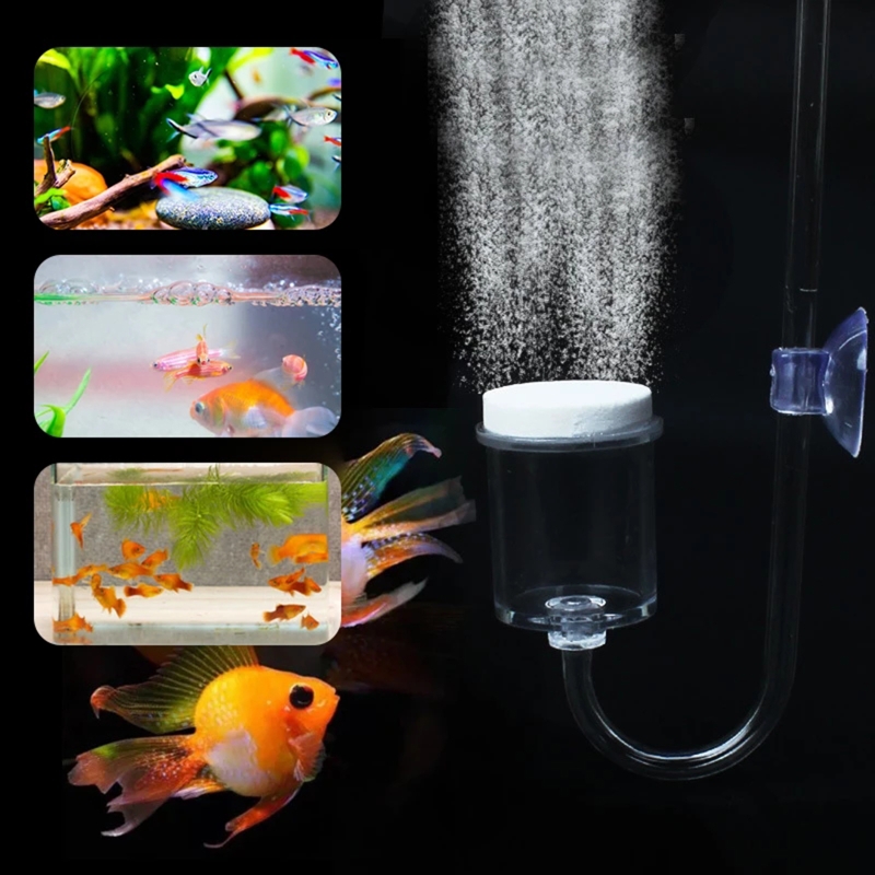 4 buah Set CO2 DIY Diffuser, u - Planted Aquarium Maintenance ulasan dan harga