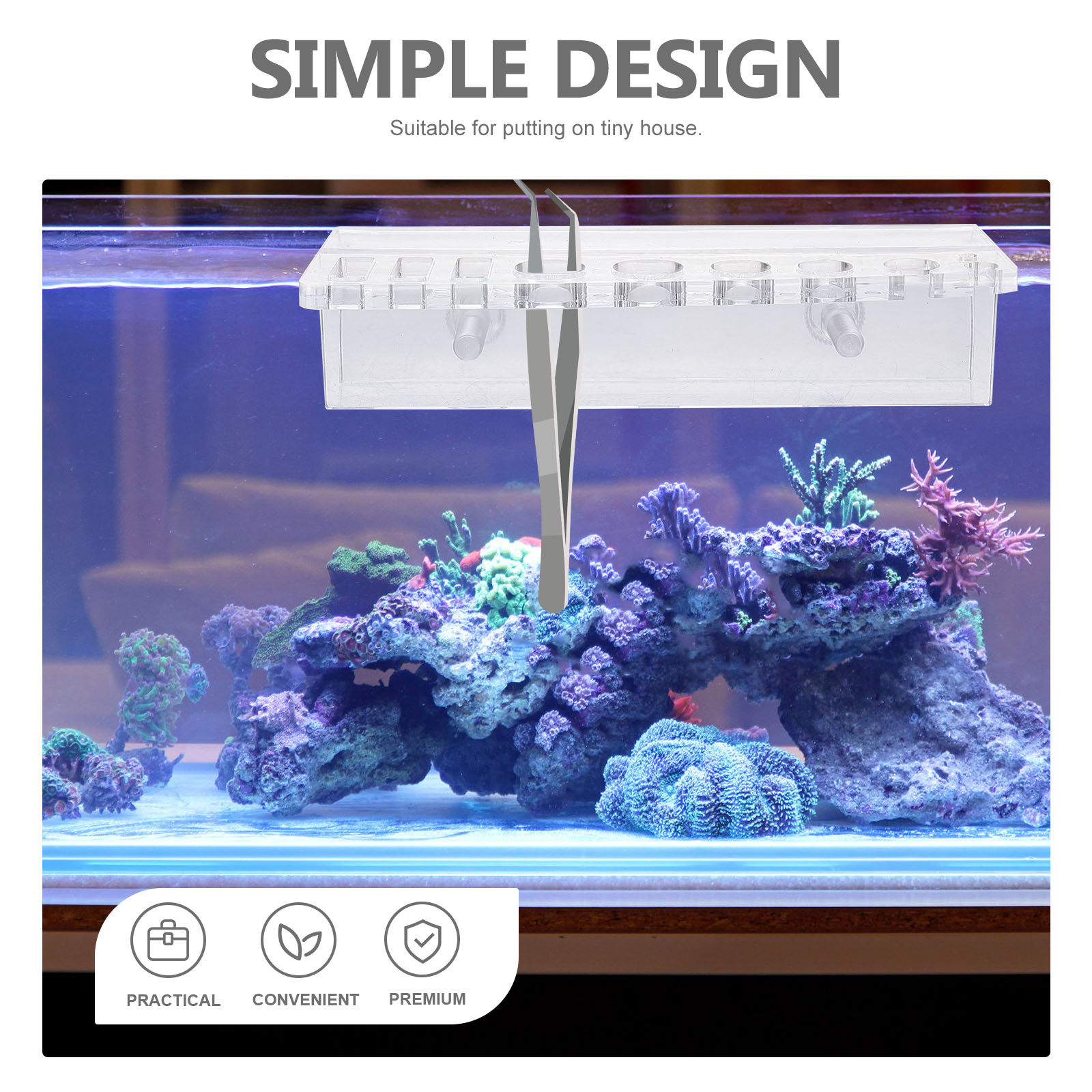 Tempat Alat Akuarium Rak Penyi - Planted Aquarium Maintenance ulasan dan harga