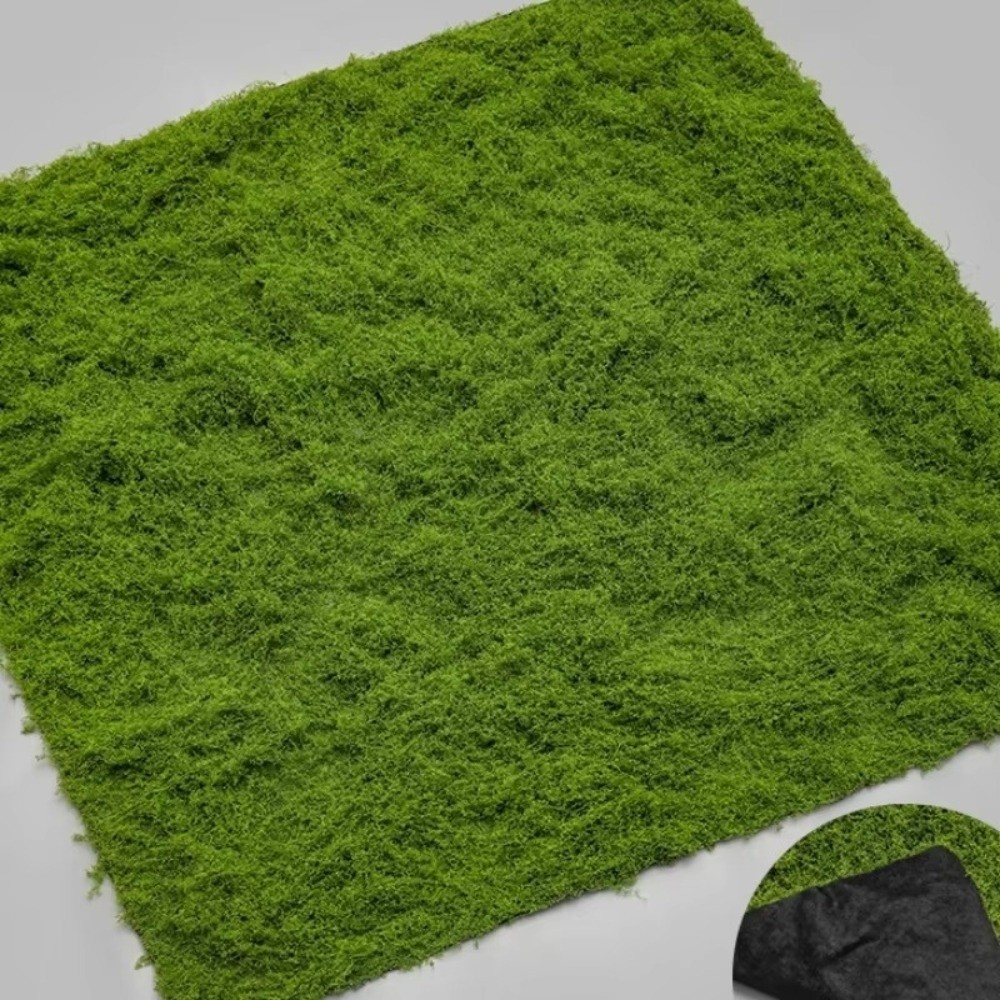 Karpet Rumput Buatan DIY Tahan - Aquarium Plant Seeds ulasan dan harga