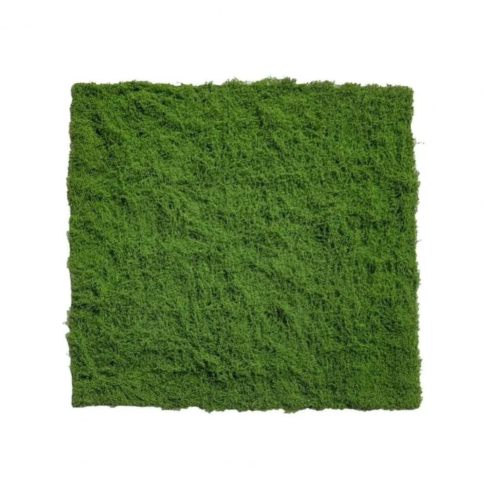 Karpet Rumput Buatan DIY Tahan - Aquarium Plant Seeds ulasan dan harga
