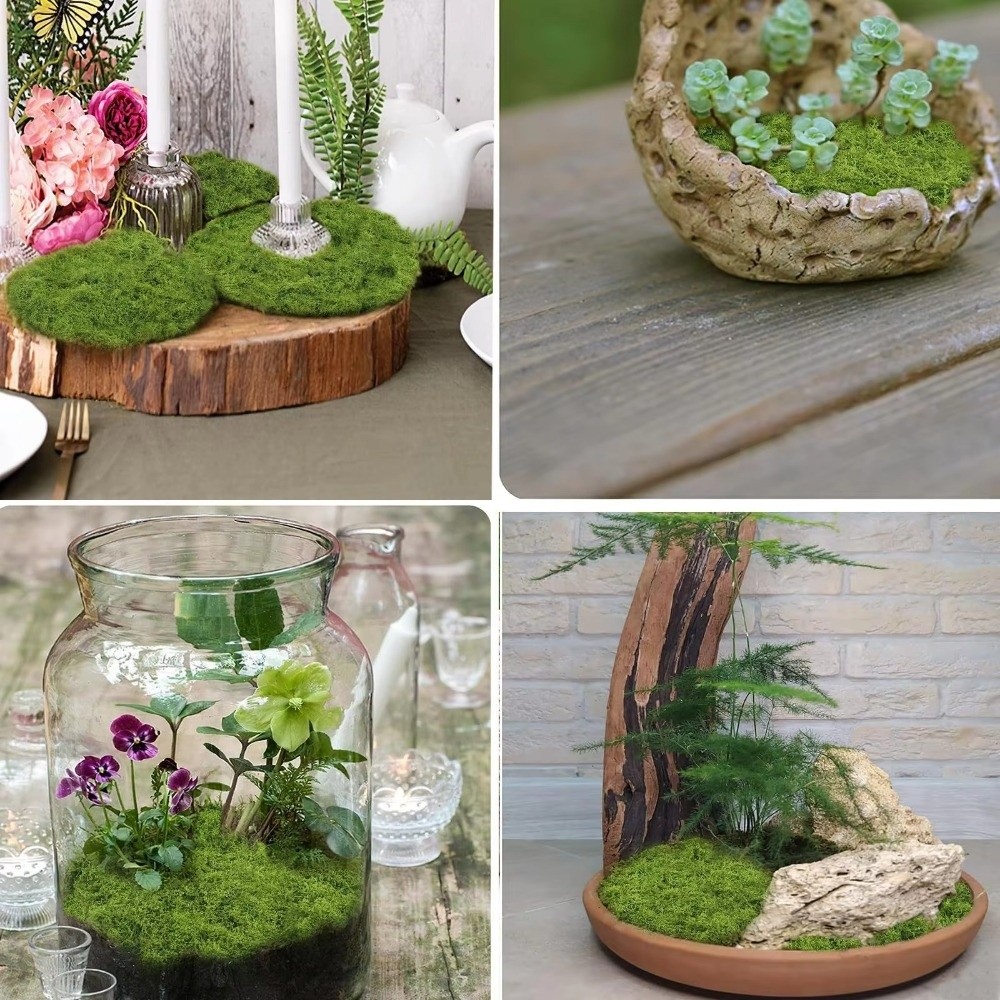 Karpet Rumput Buatan DIY Tahan - Aquarium Plant Seeds ulasan dan harga