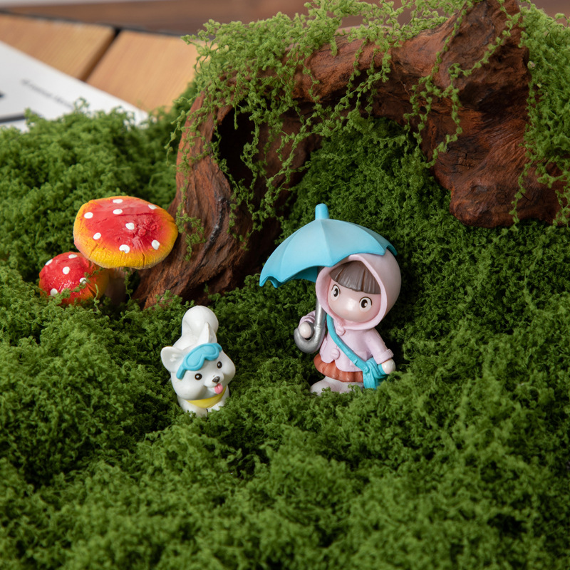 200G Rumput Lumut Kehidupan Ab - Aquarium Plant Seeds ulasan dan harga