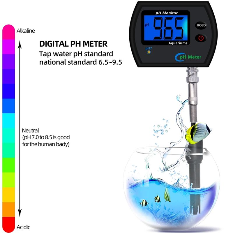 M12K-PH Meter Monitor PH Onlin - Planted Aquarium Ph ulasan dan harga
