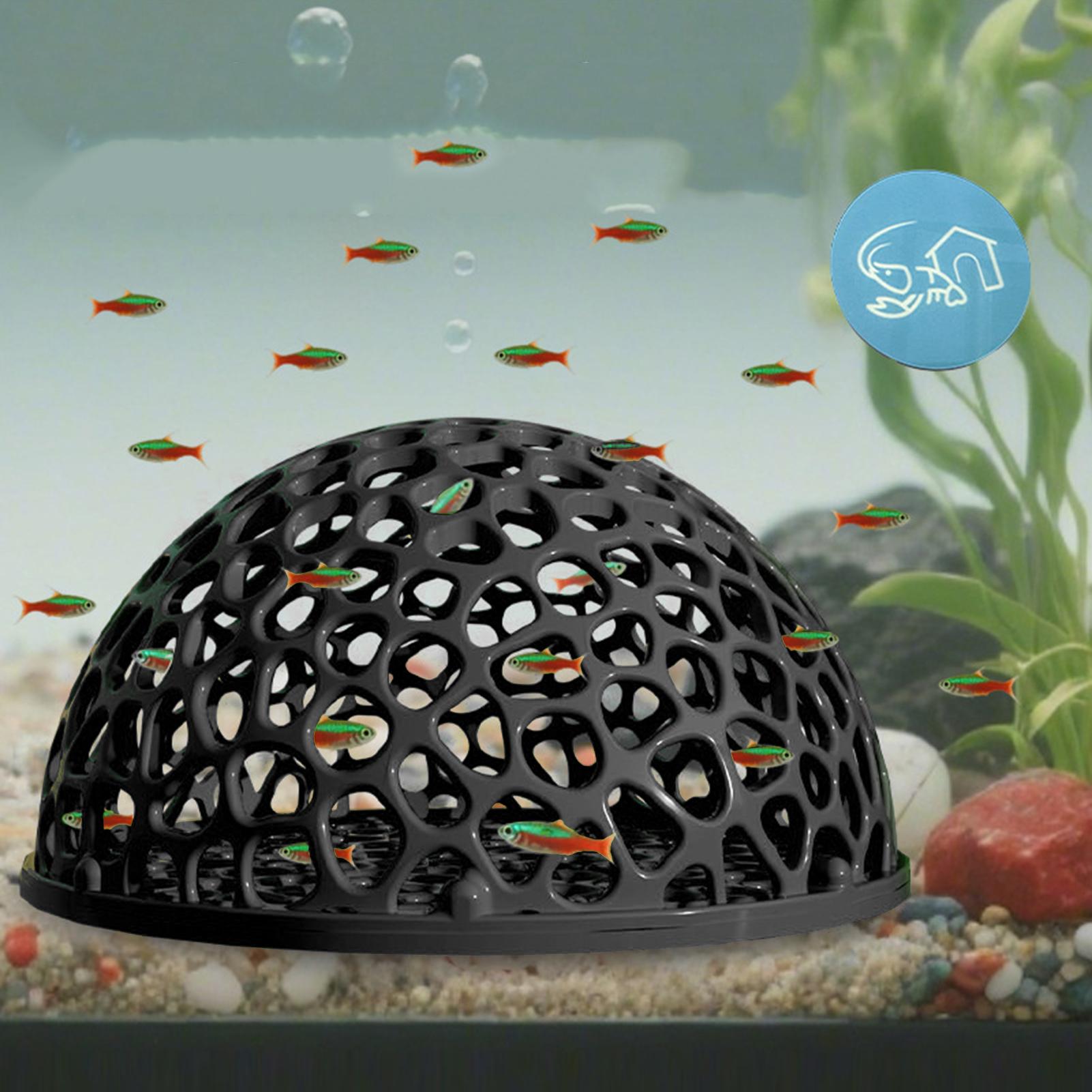 Tempat Persembunyian Tersembun - Aquarium Planted Seeds ulasan dan harga