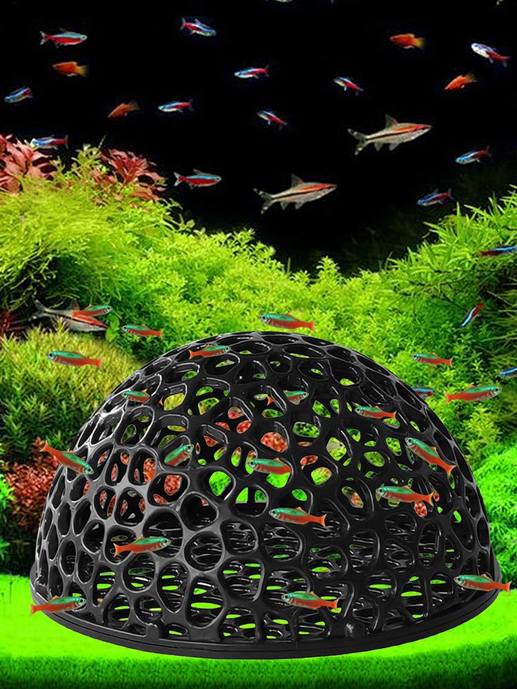 Tempat Persembunyian Tersembun - Aquarium Planted Seeds ulasan dan harga