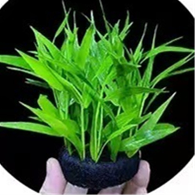 Alas Tanam Dasar Paket Ganda H - Aquarium Planted Tank Substrate ulasan dan harga