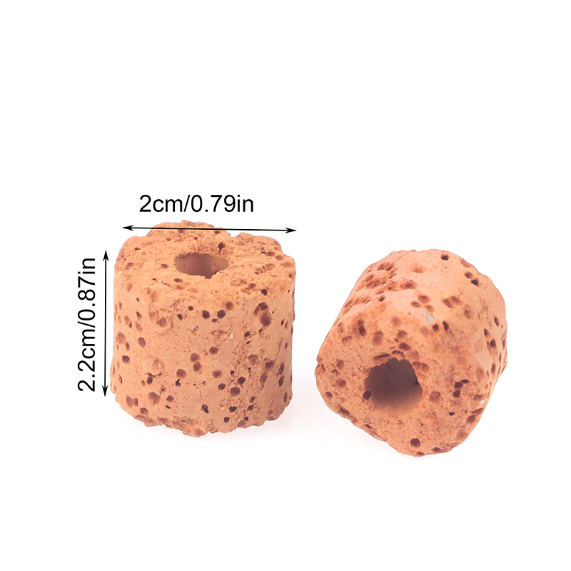 10 buah cincin tanaman akuariu - Aquarium Planted Seeds ulasan dan harga