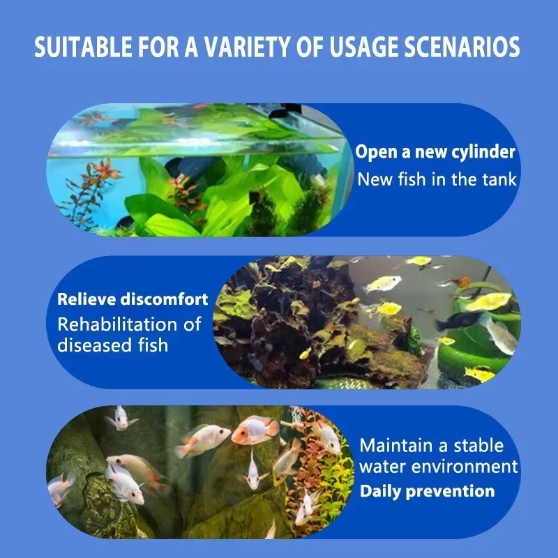Perawatan Penyakit Ikan SIKEZH - Aquarium Plant Seeds ulasan dan harga