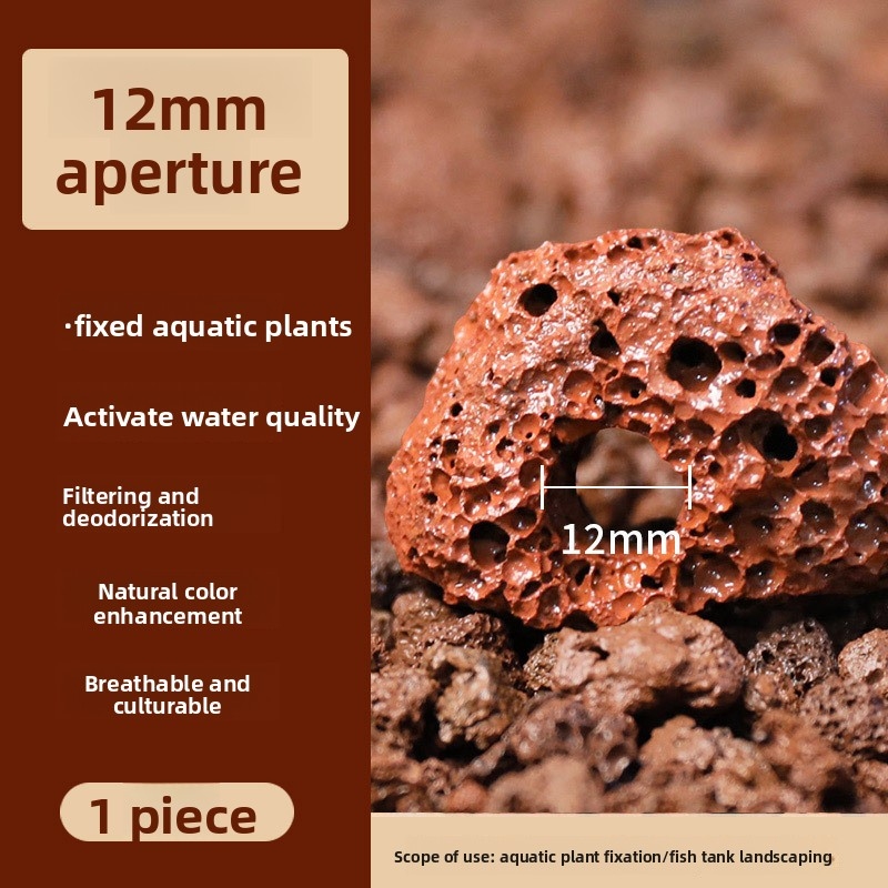 Aquarium CO2 Diffuser Fish Tan - Aquarium Plant Delivery ulasan dan harga