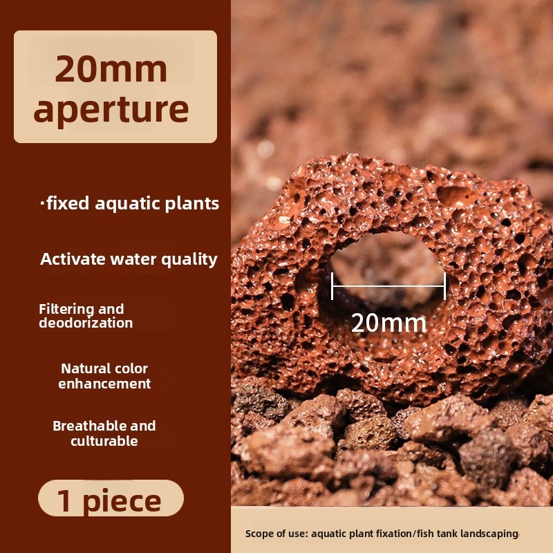 Aquarium CO2 Diffuser Fish Tan - Aquarium Plant Delivery ulasan dan harga