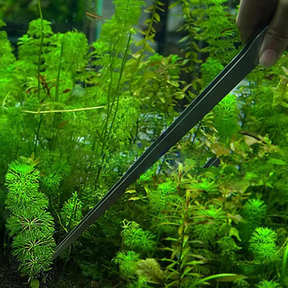 Pinset tanaman air Universal 2 - Planted Aquarium Maintenance ulasan dan harga