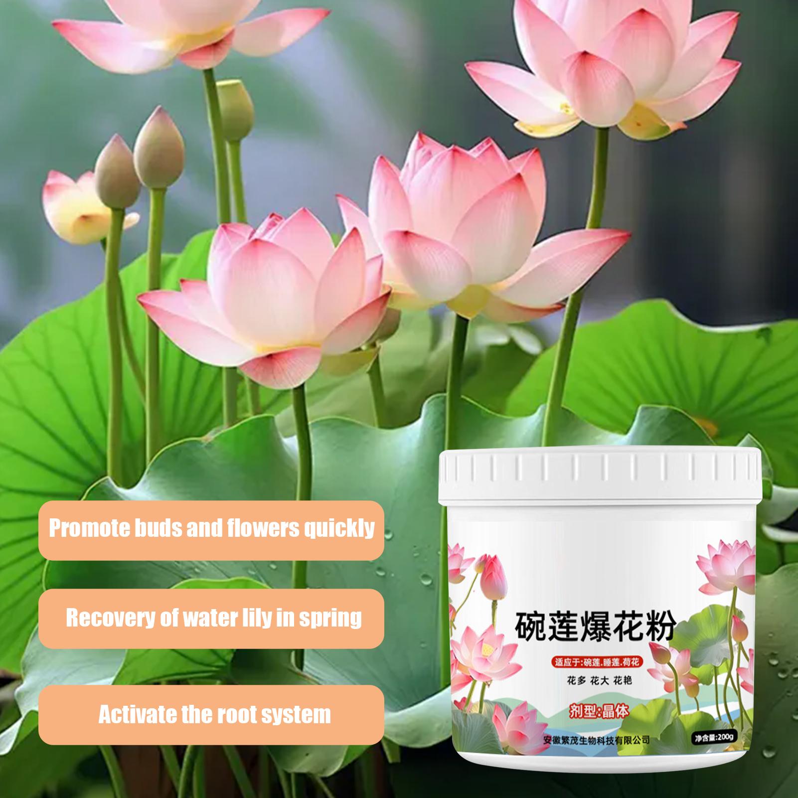 Makanan Tanaman Air Lili Air K - Aquarium Plant Liquid Fertilizer ulasan dan harga