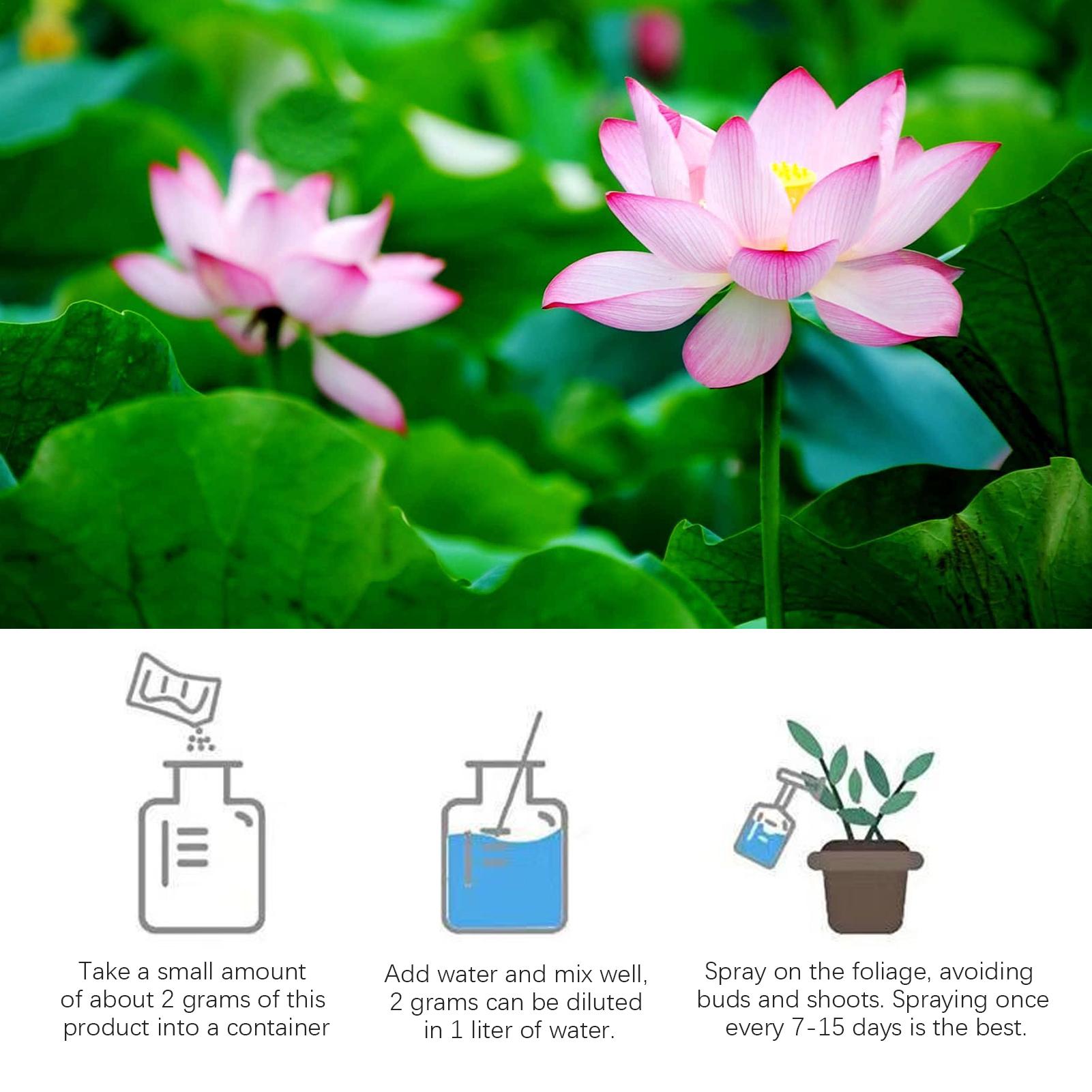 Makanan Tanaman Air Lili Air K - Aquarium Plant Liquid Fertilizer ulasan dan harga