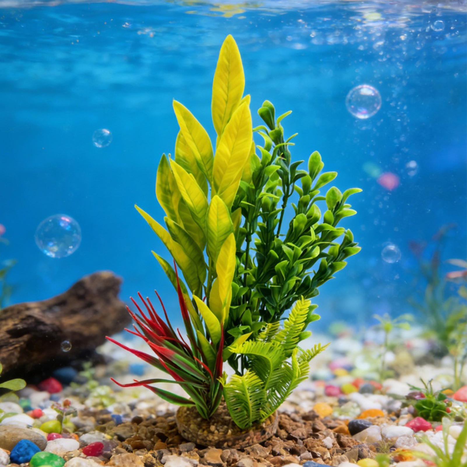 Tanaman Akuarium Buatan Dekora - Planted Aquarium For Beginners ulasan dan harga