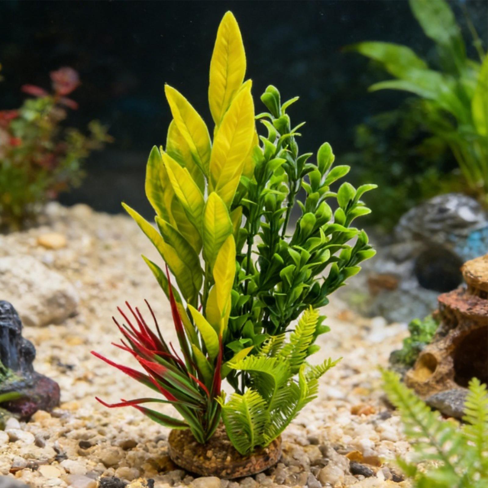 Tanaman Akuarium Buatan Dekora - Planted Aquarium For Beginners ulasan dan harga