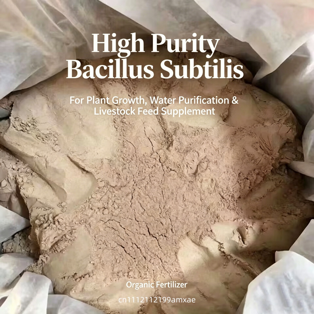 Bubuk Bacillus Subtilis Aktivi - Aquarium Plant Fertilizer ulasan dan harga
