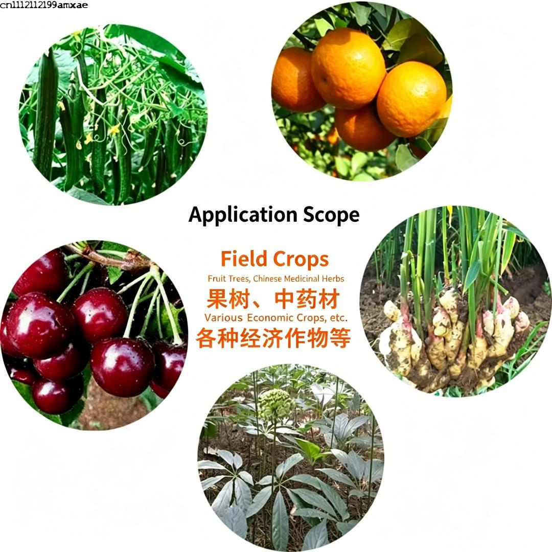 Bubuk Bacillus Subtilis Aktivi - Aquarium Plant Fertilizer ulasan dan harga