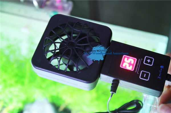 Mini nano klip menggantung pad - Aquarium Plant Delivery ulasan dan harga