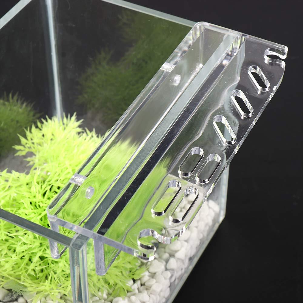 Rak Penyimpanan Aksesori Alat  - Planted Aquarium Maintenance ulasan dan harga