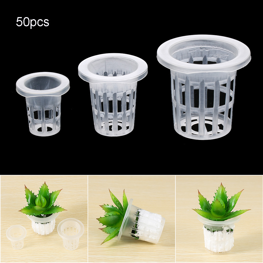 10/50 Buah Perlengkapan Berkeb - Aquarium Plant Seeds ulasan dan harga