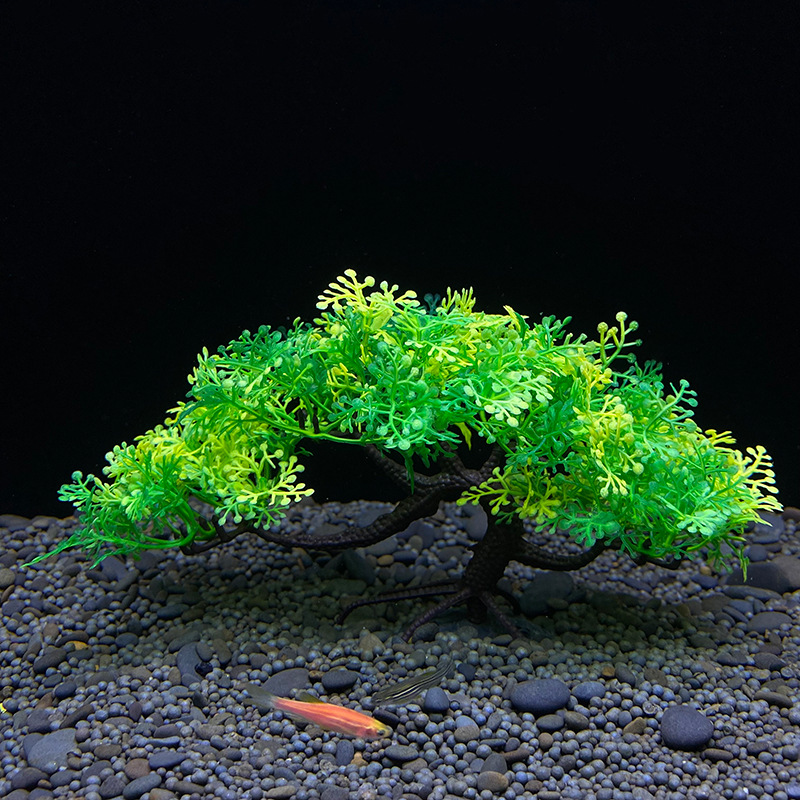 Pohon bonsai akuarium, tanaman - Aquarium Plant Seeds ulasan dan harga