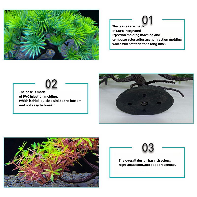 Pohon bonsai akuarium, tanaman - Aquarium Plant Seeds ulasan dan harga