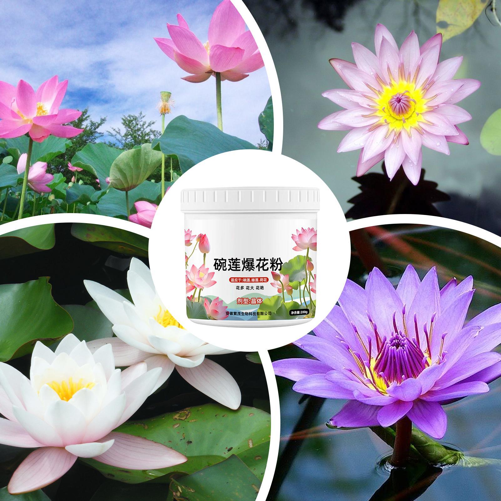 Pupuk Tanaman Air Water Lily P - Aquarium Plant Liquid Fertilizer ulasan dan harga