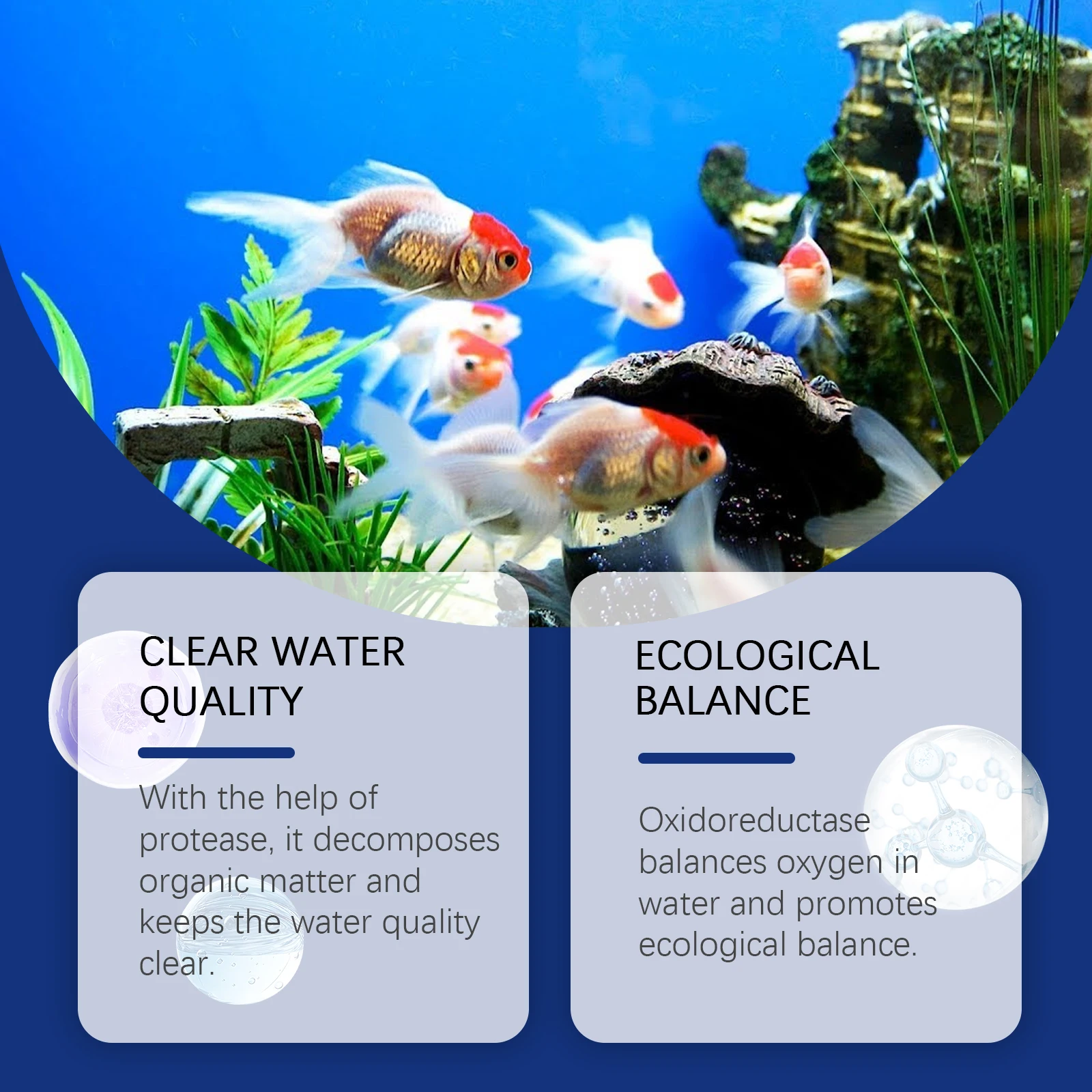 Pembersih Air Akuarium Penghil - Aquarium Plant Liquid Fertilizer ulasan dan harga