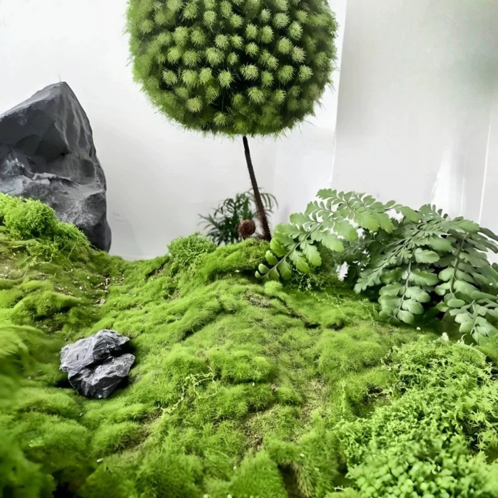 Karpet Rumput Buatan DIY Tahan - Aquarium Plant Seeds ulasan dan harga