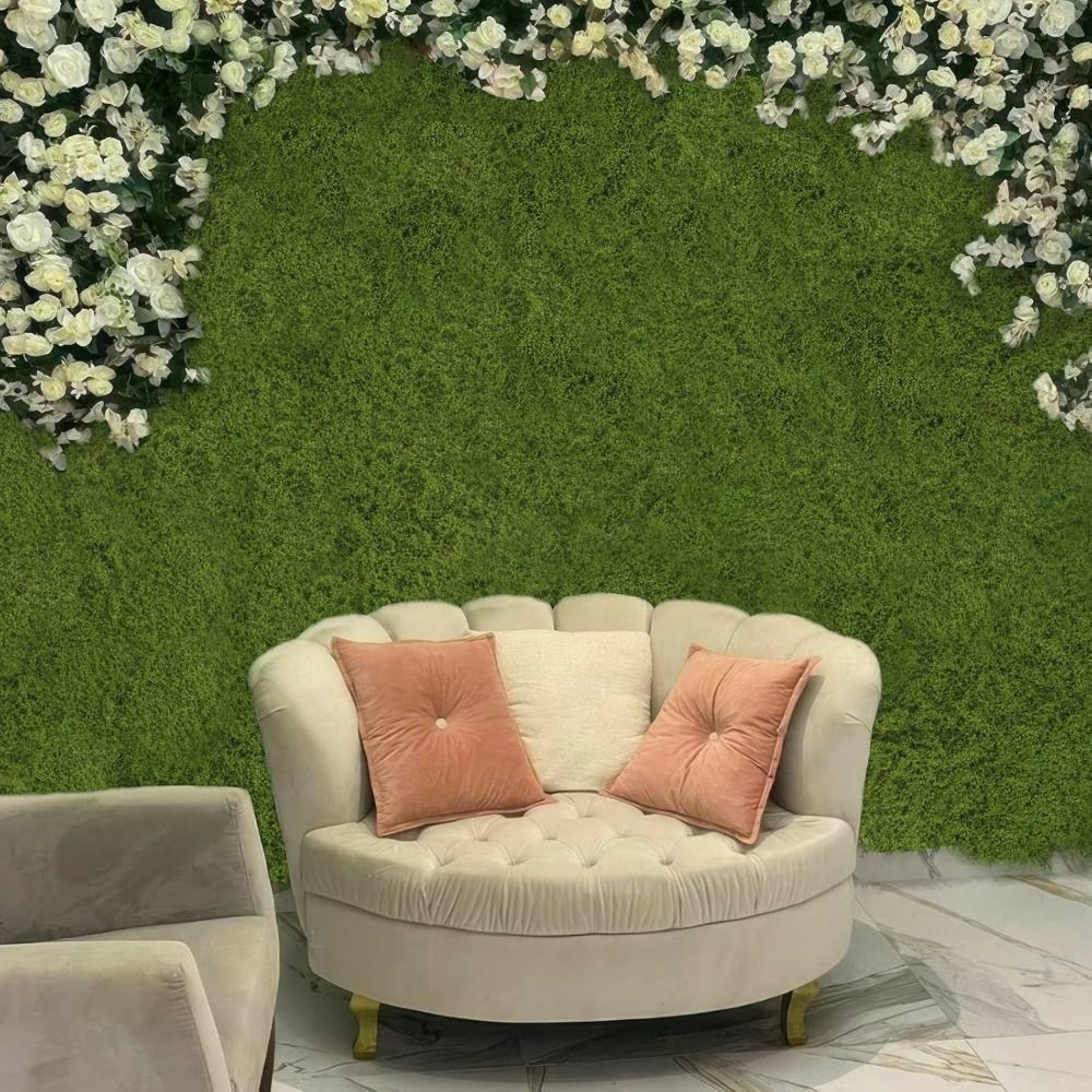 Karpet Rumput Buatan DIY Tahan - Aquarium Plant Seeds ulasan dan harga