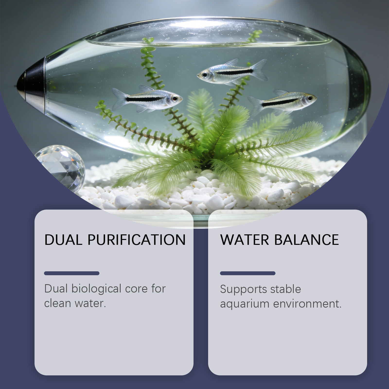 Tablet Penghilang Alga untuk A - Planted Aquarium Cloudy Water ulasan dan harga