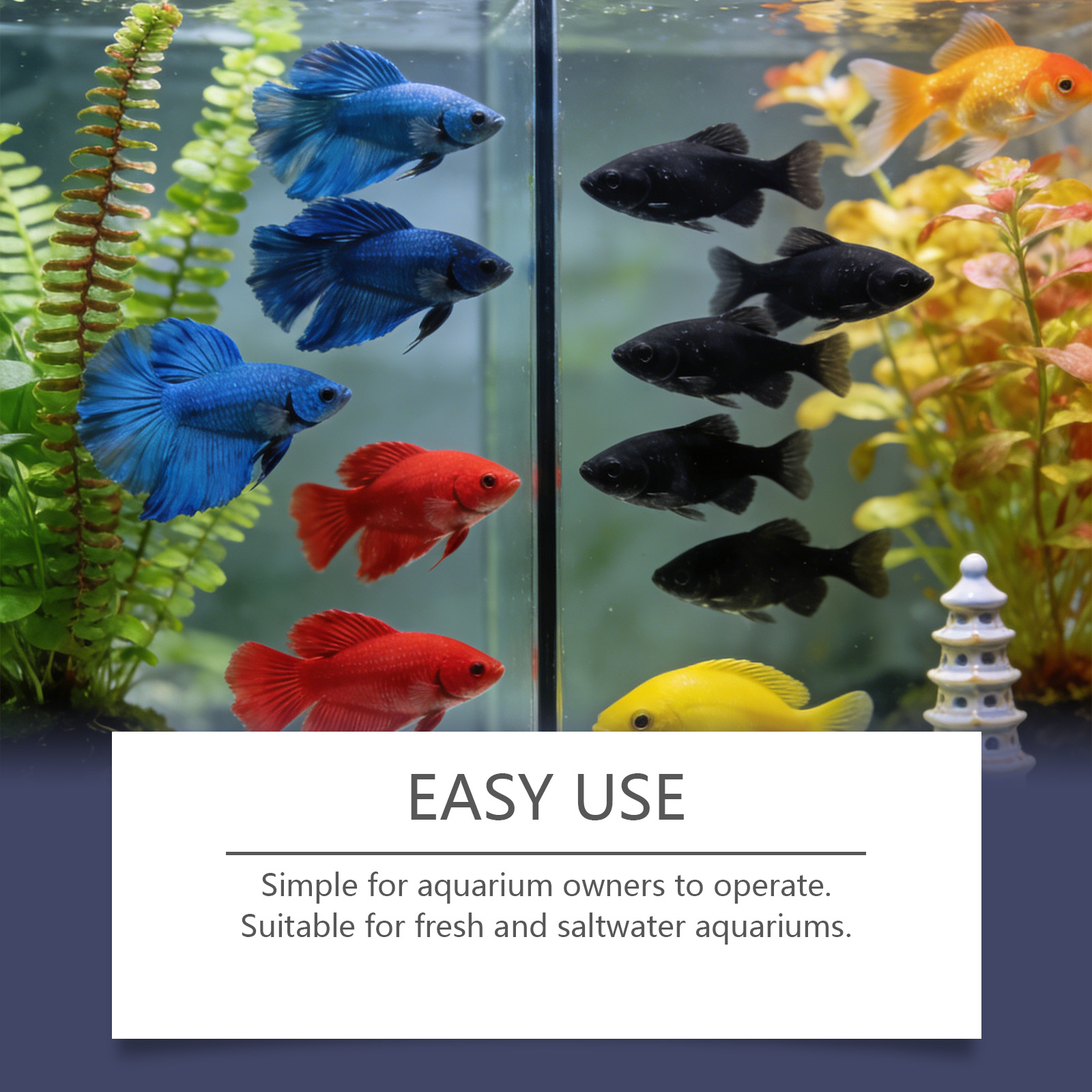 Tablet Penghilang Alga untuk A - Planted Aquarium Cloudy Water ulasan dan harga