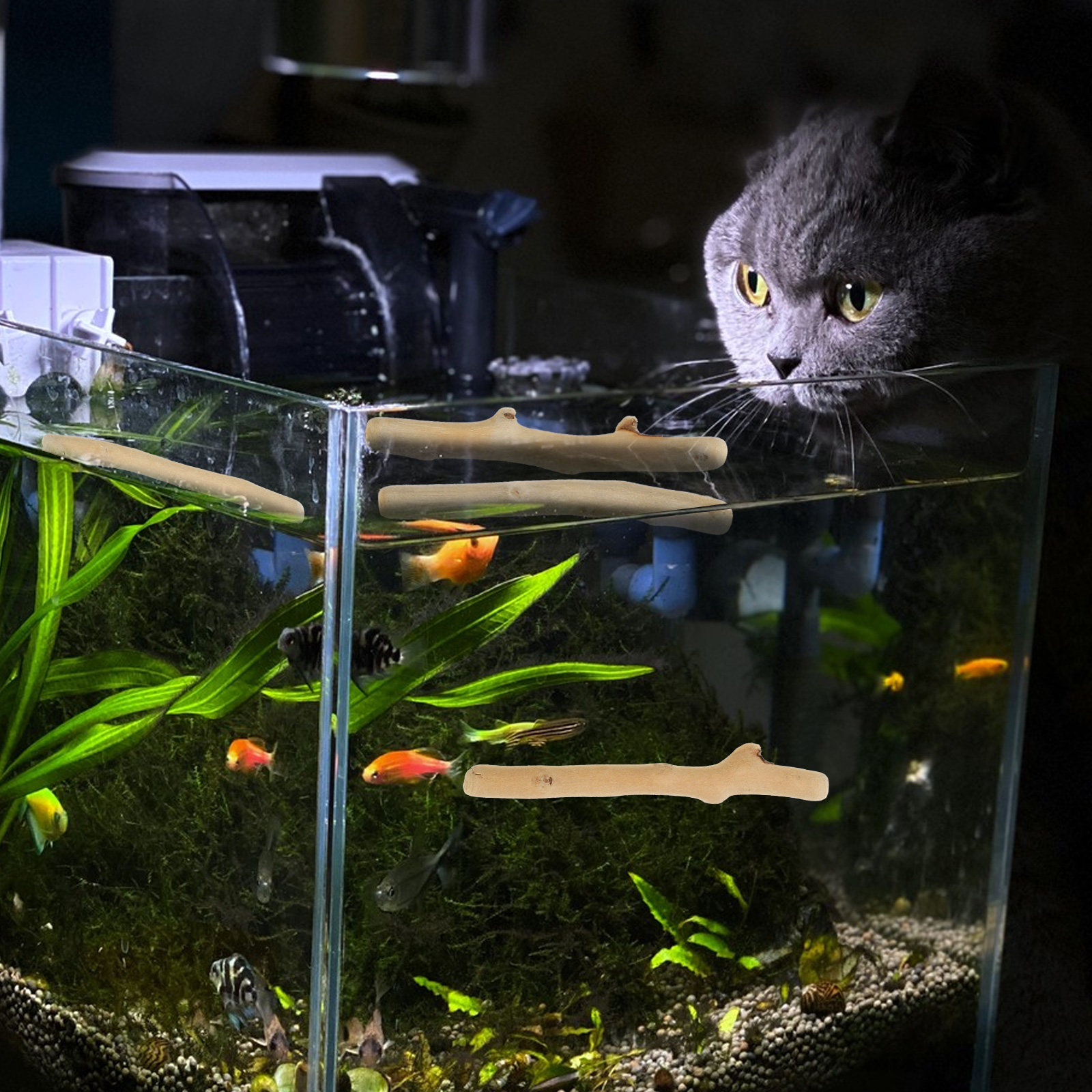 1Set Dekorasi Kayu Apung Alami - Planted Aquarium Ph ulasan dan harga