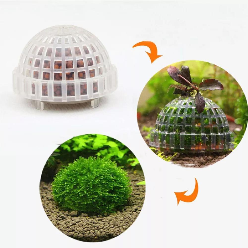 1 Buah Perlengkapan Hewan Peli - Planted Aquarium Maintenance ulasan dan harga