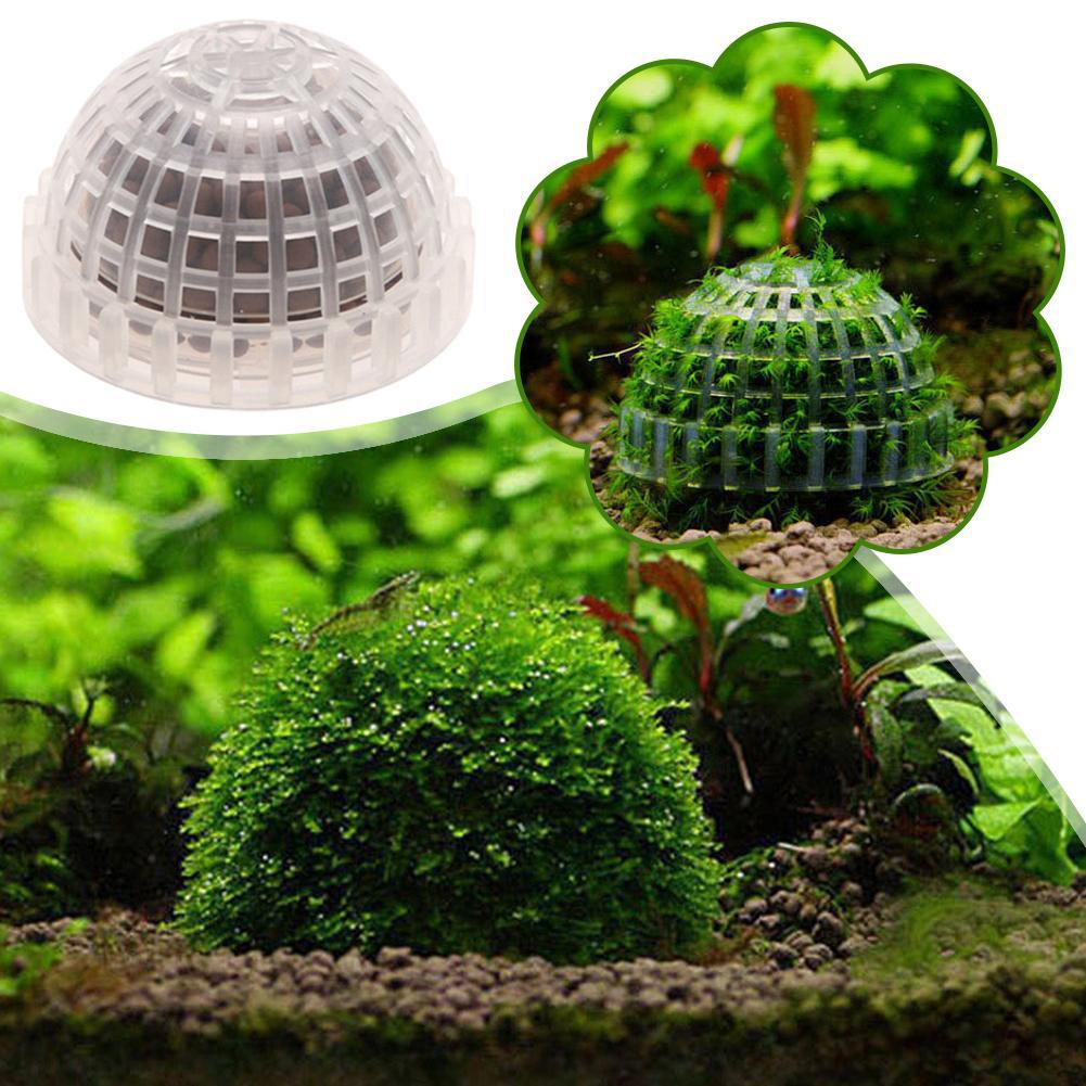 1 Buah Perlengkapan Hewan Peli - Planted Aquarium Maintenance ulasan dan harga
